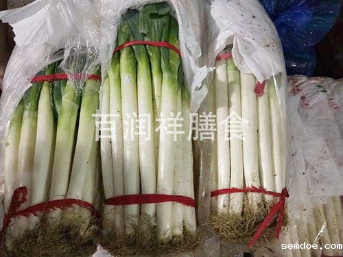 东莞蔬菜批发